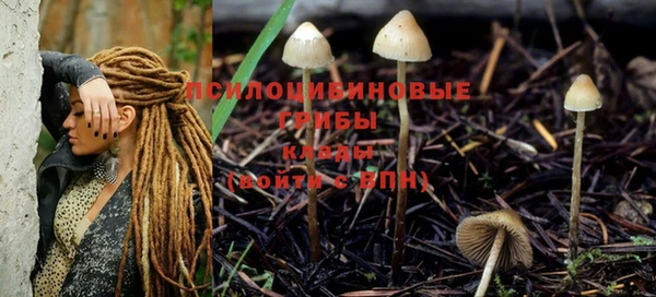 гидропоника Нягань