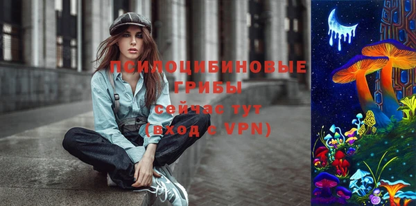 герыч Няндома