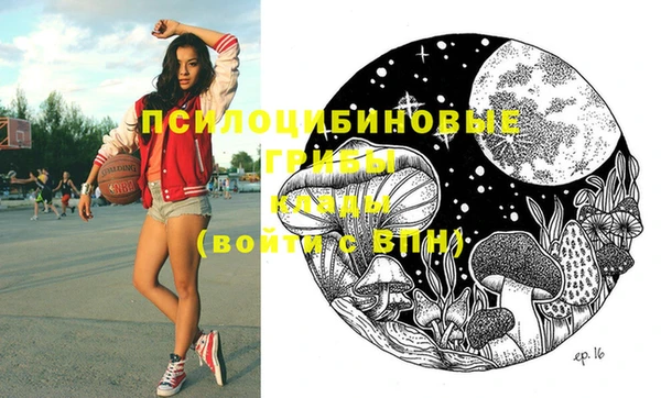 герыч Няндома